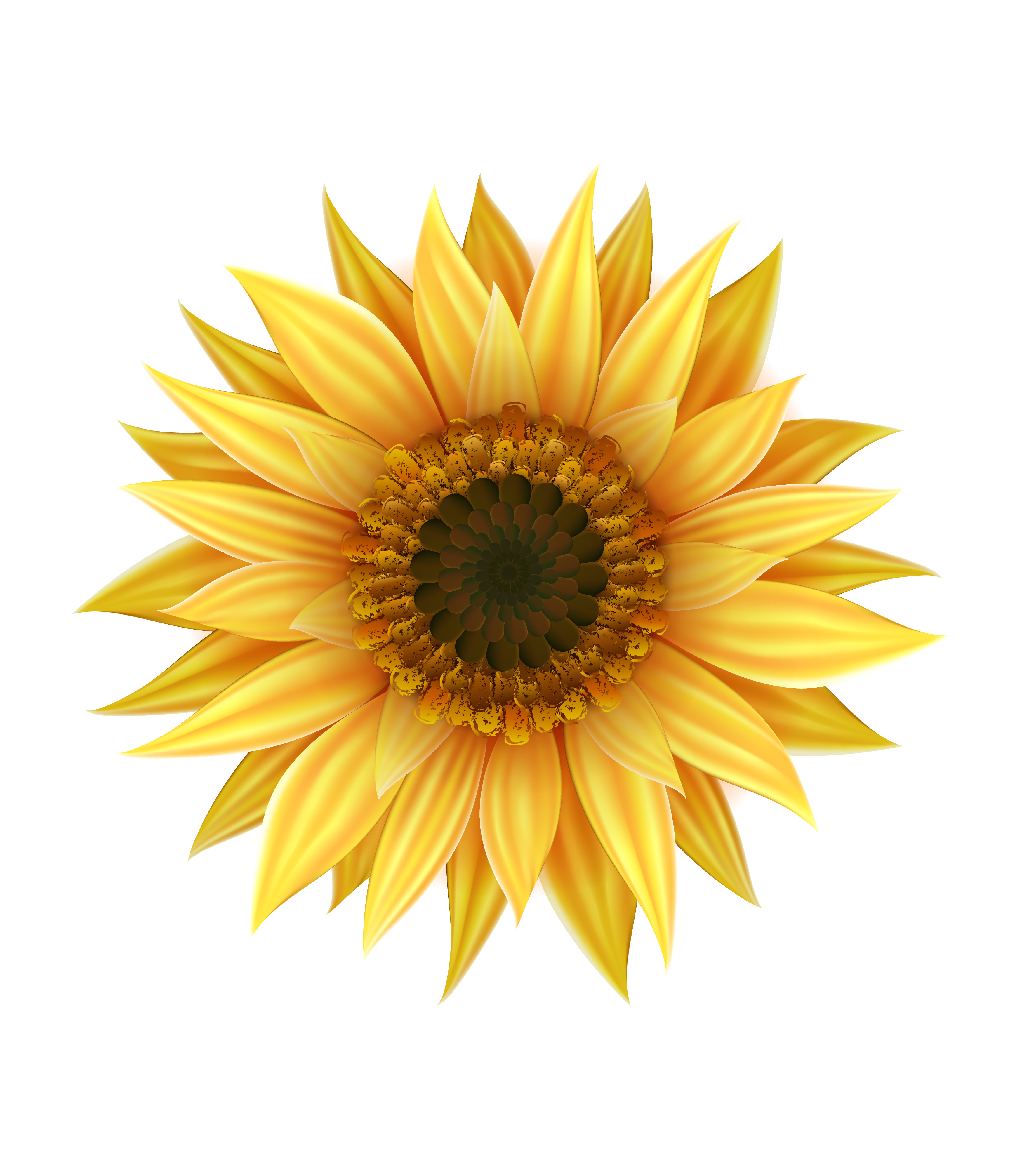 A graphic of a sunflower used as a logo.